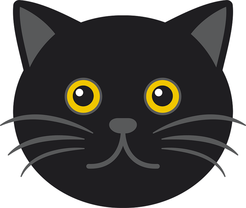 黒猫