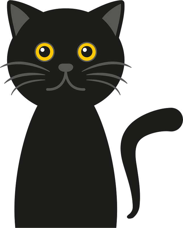 Kucing hitam