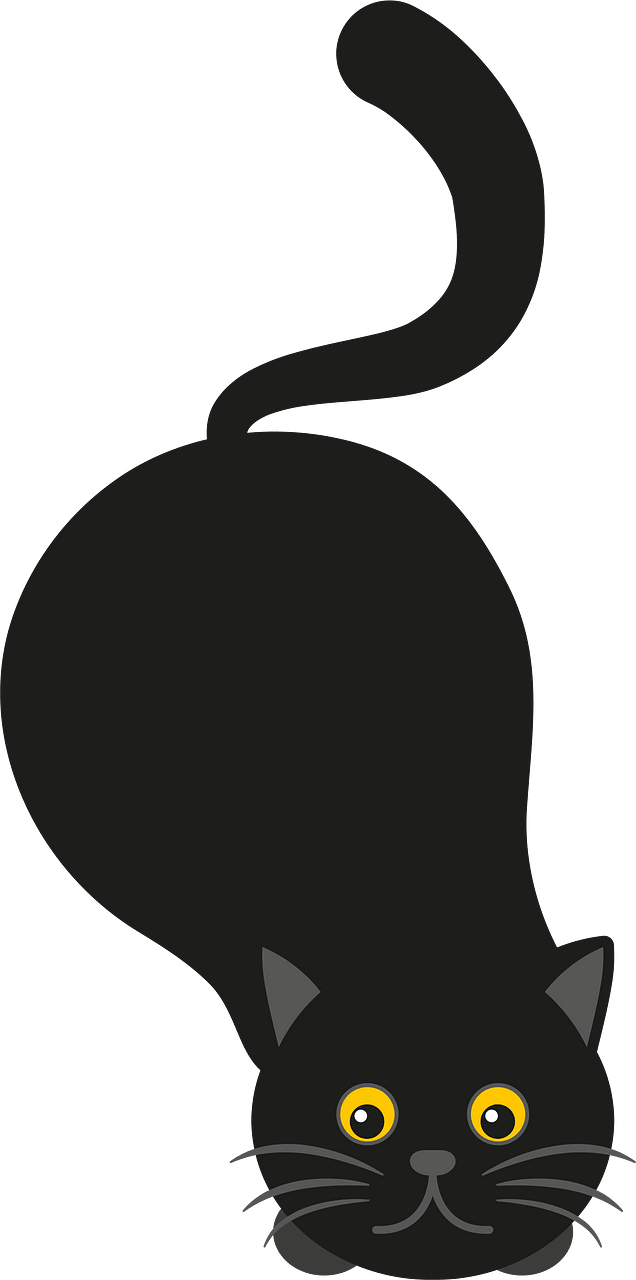 黑猫