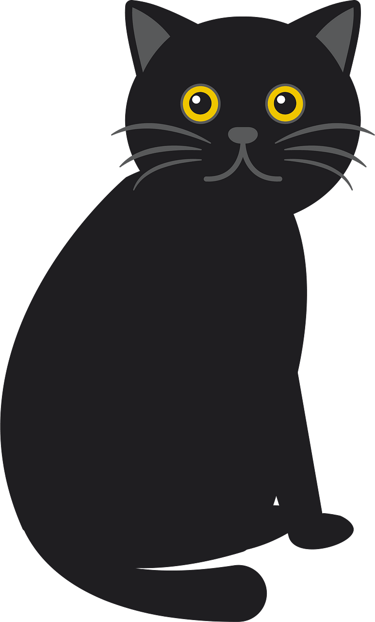 黒猫