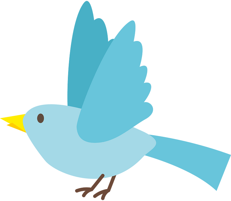 Blue bird