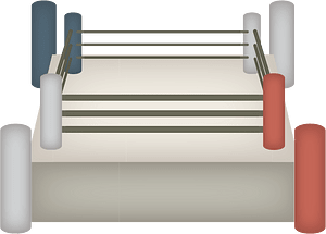 Boxing sports