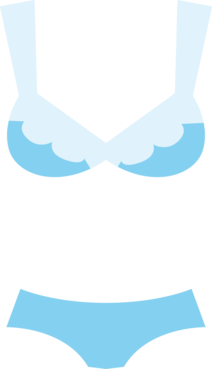 Bra panties