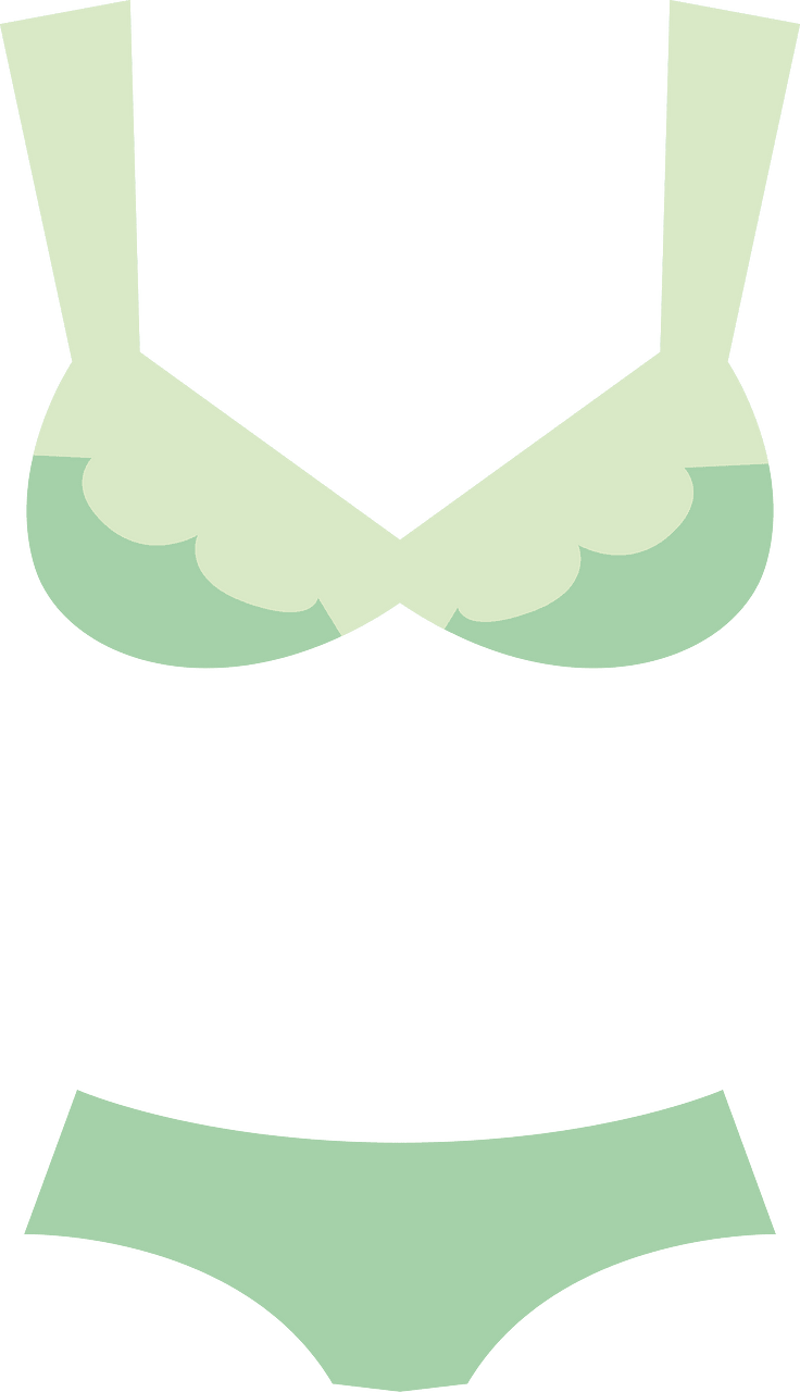 Bra panties