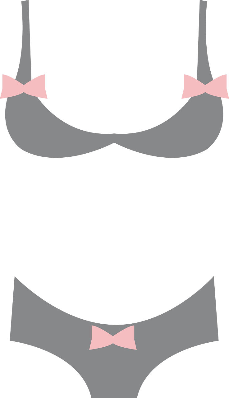 Bra panties