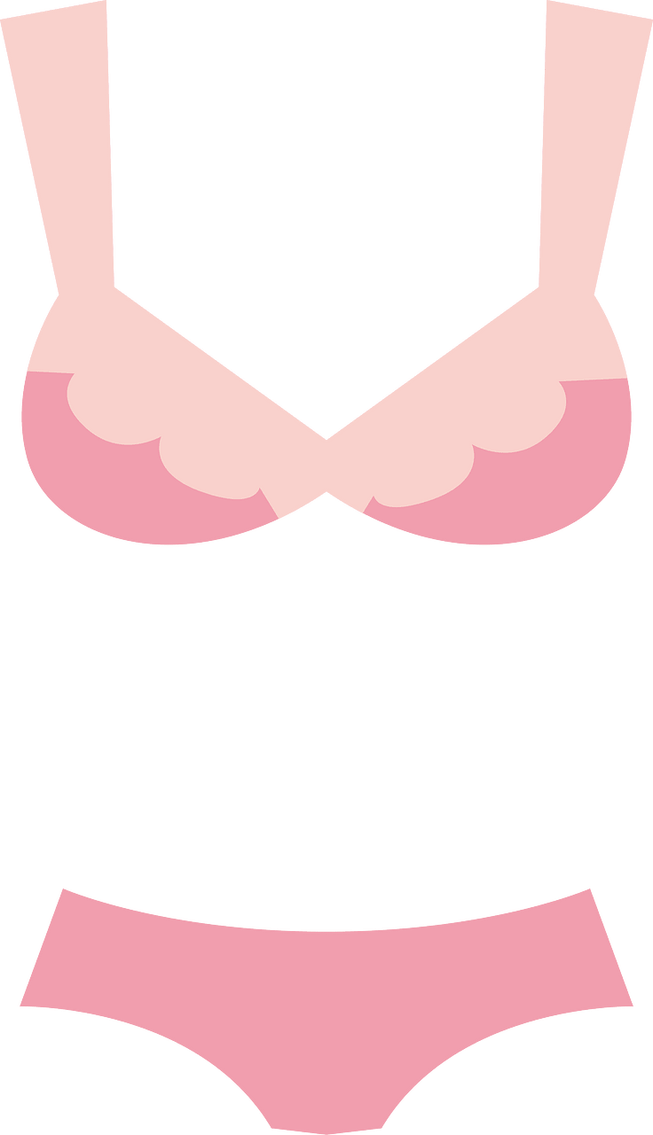 Bra panties