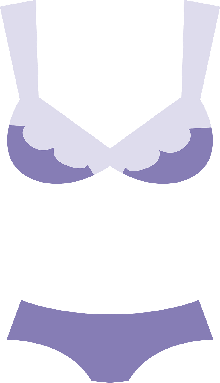 Bra panties