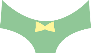 Bra panties