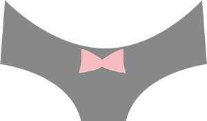 Bra panties