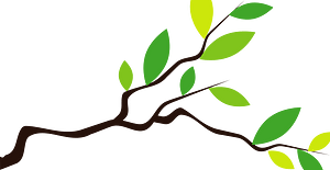 Branch leaves