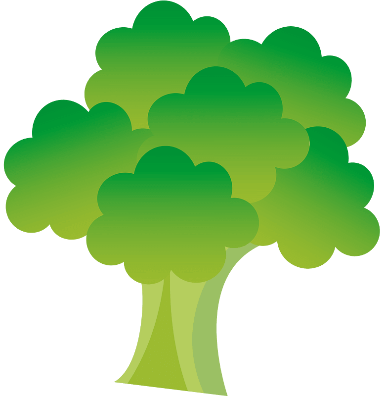 Broccoli vegetable