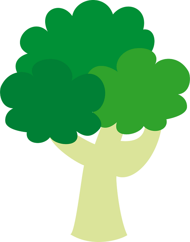 Broccoli vegetable
