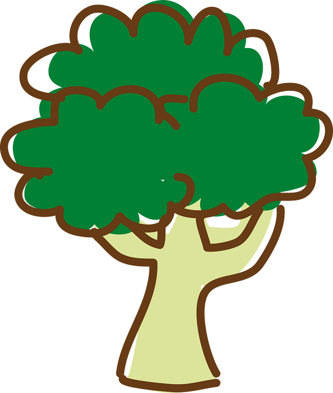 Broccoli vegetable