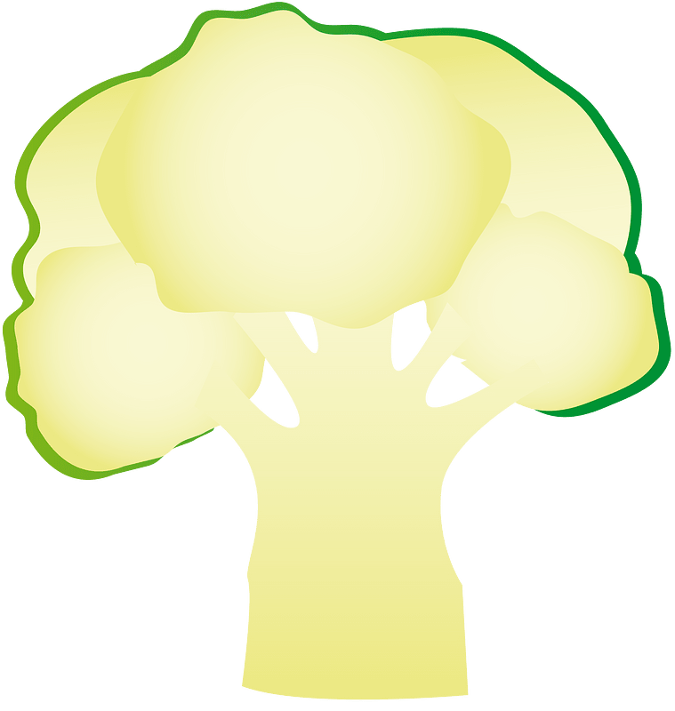 Broccoli vegetable