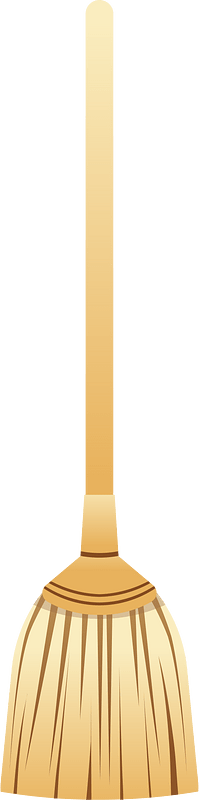 Sapu