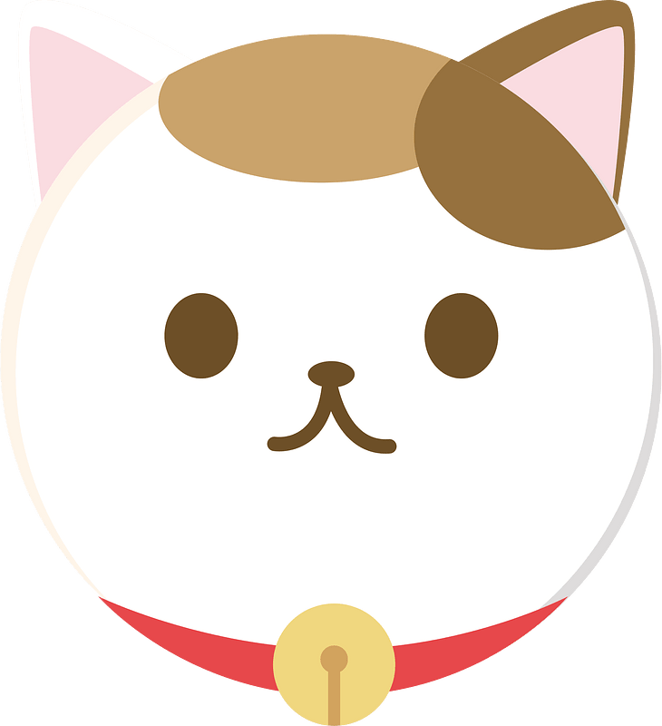 Brown and white cat