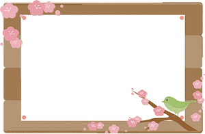 Bulletin board frame