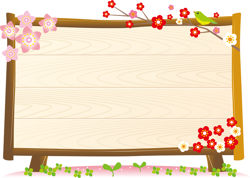 Bulletin board spring
