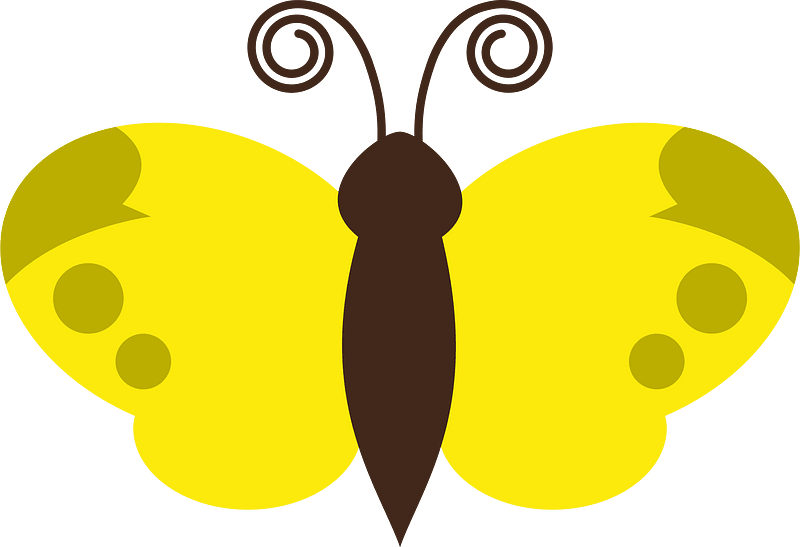 Butterfly flower