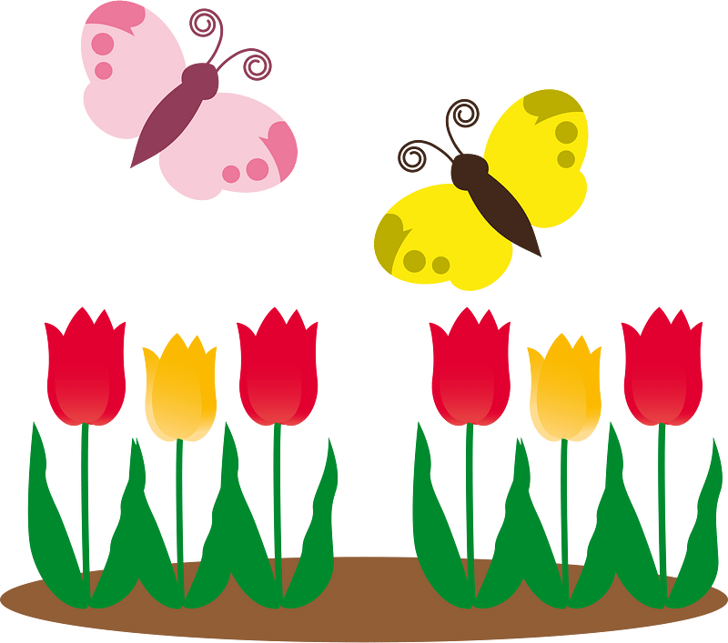 Butterfly flower