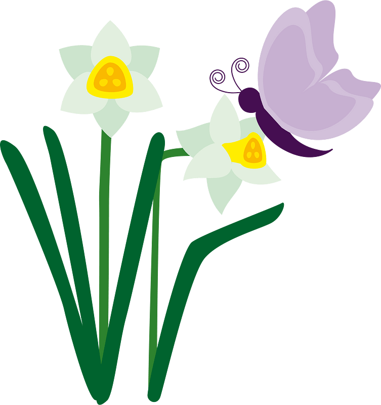 Butterfly flower