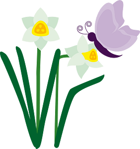 Butterfly flower