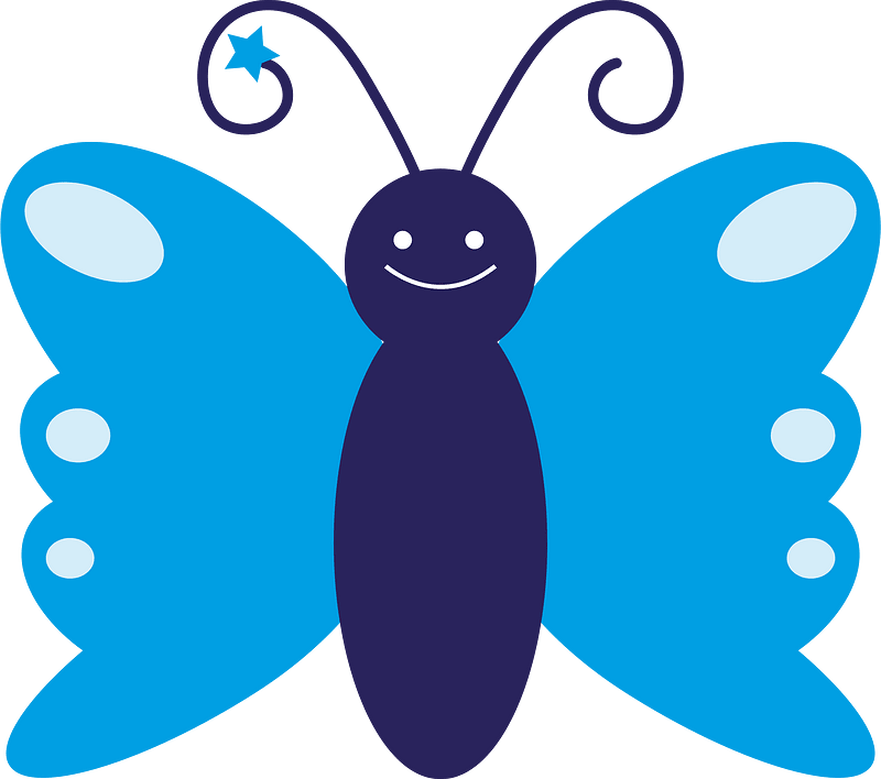 Butterfly insect