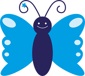Butterfly insect