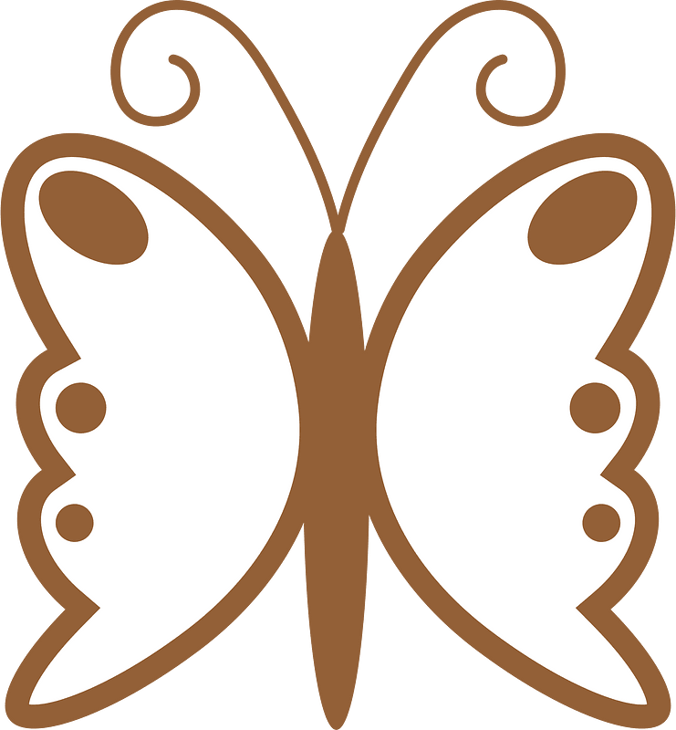 Butterfly insect