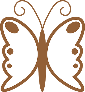 Butterfly insect