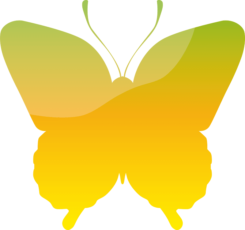 Butterfly insect