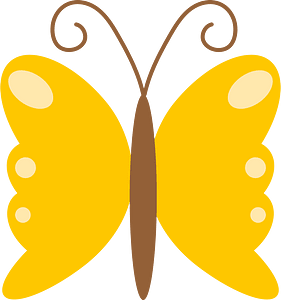 Butterfly insect