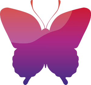 Butterfly insect