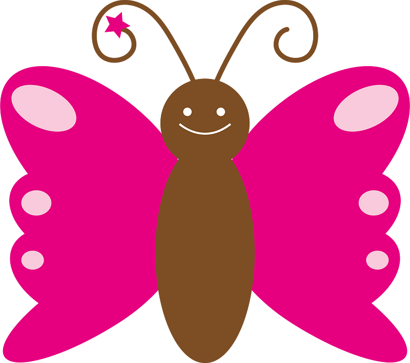 Butterfly insect