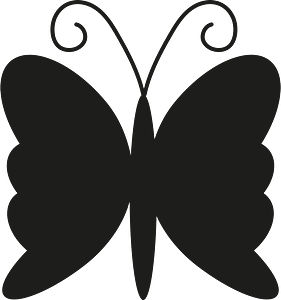 Butterfly insect