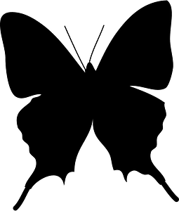 Butterfly silhouette