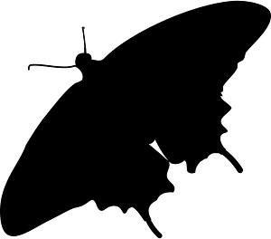 Butterfly silhouette