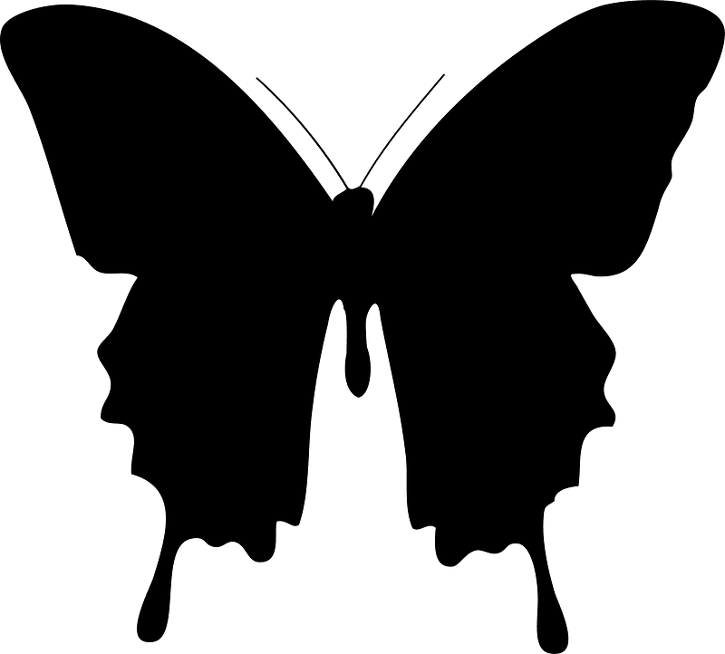 Butterfly silhouette