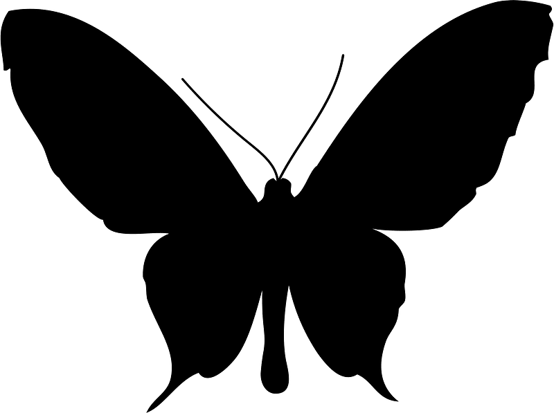 Butterfly silhouette