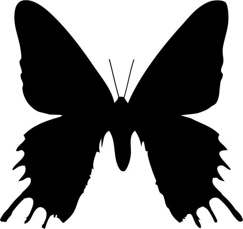 Butterfly silhouette