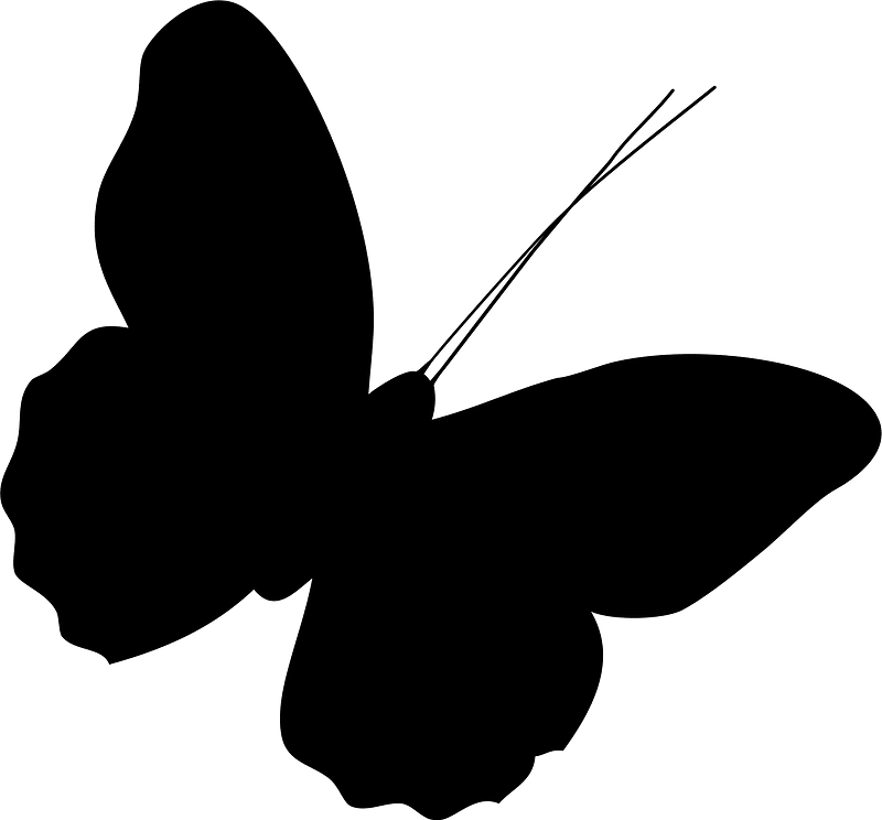 Butterfly silhouette