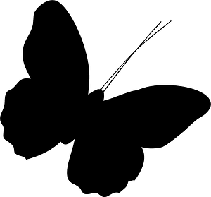 Butterfly silhouette