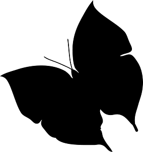 Butterfly silhouette