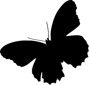 Butterfly silhouette