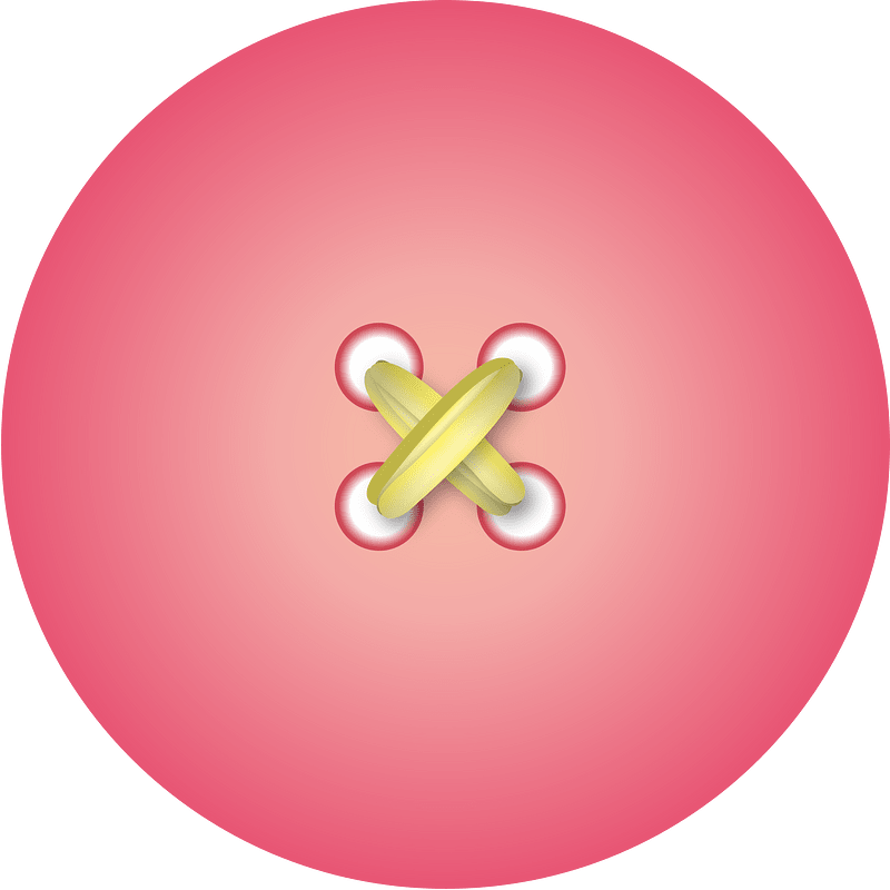 Button set