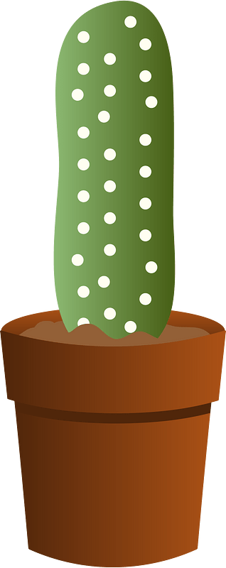 Kaktus