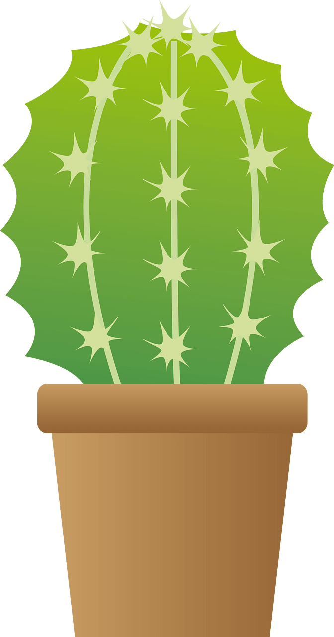 仙人掌
