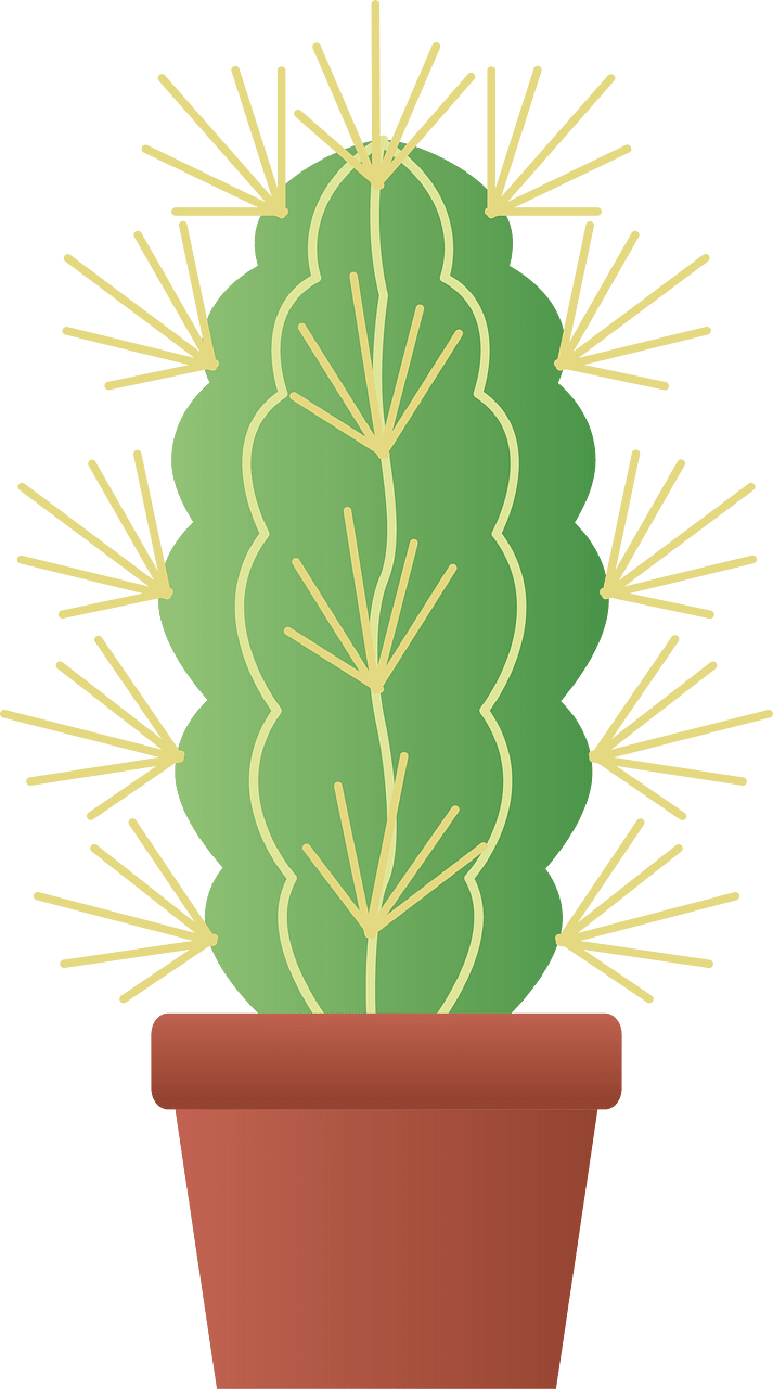 Кактус