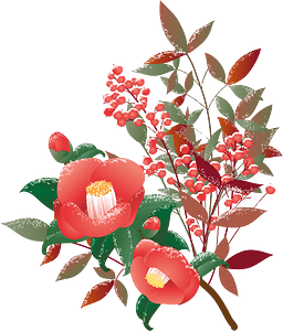 Camellia nanten