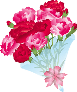 Carnation bouquet